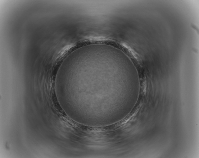 X0000095921157200801181411