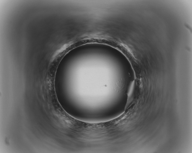 X0000095921159200801181411