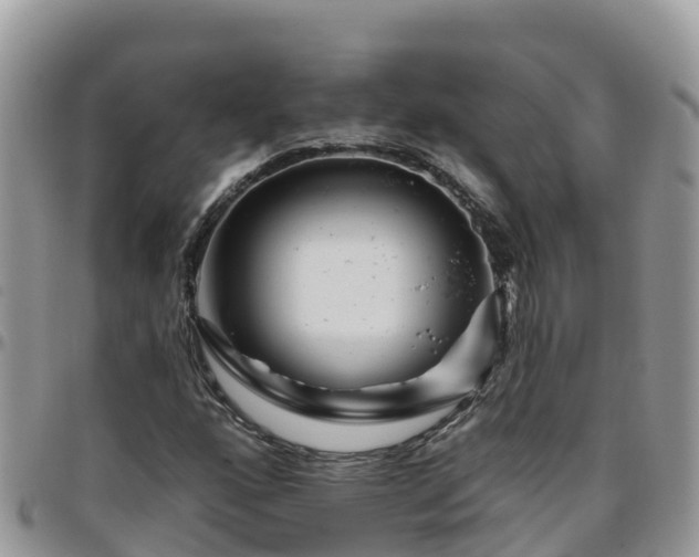 X0000095921160200801181411