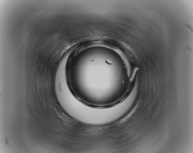 X0000095921161200801181411