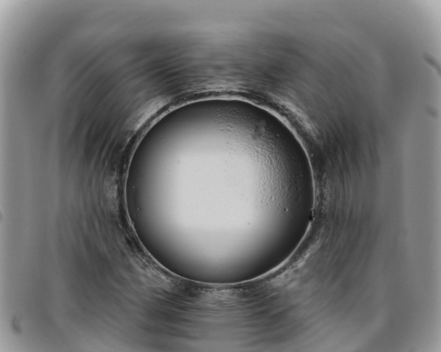 X0000095921162200801181411