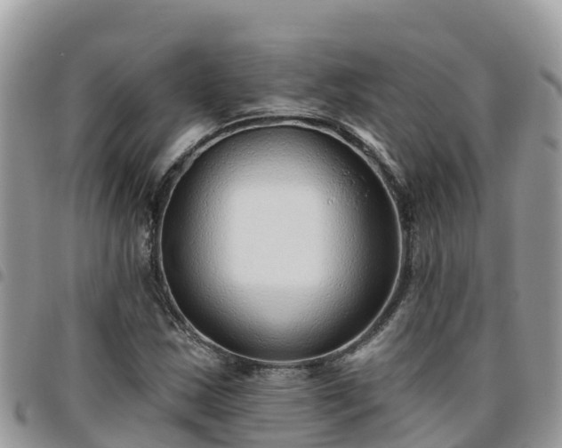 X0000095921163200801181411