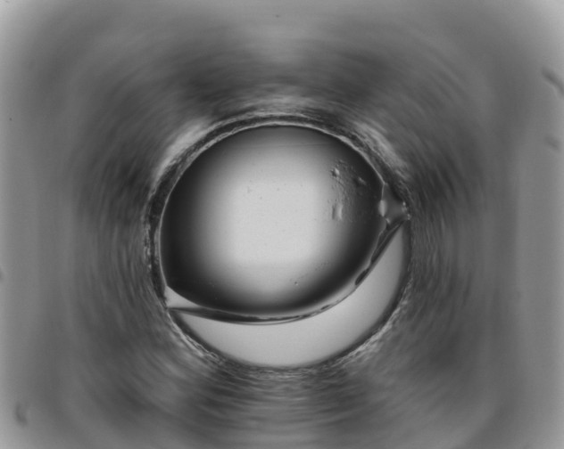 X0000095921164200801181411