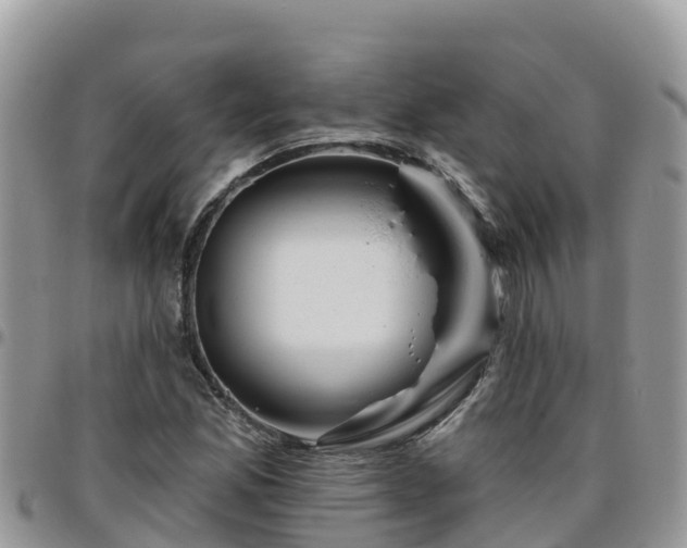 X0000095921165200801181411