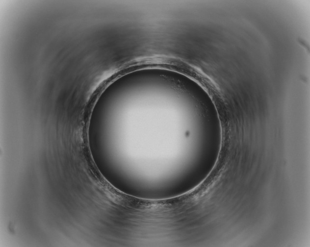 X0000095921166200801181411