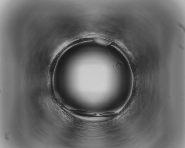 X0000095921167200801181411