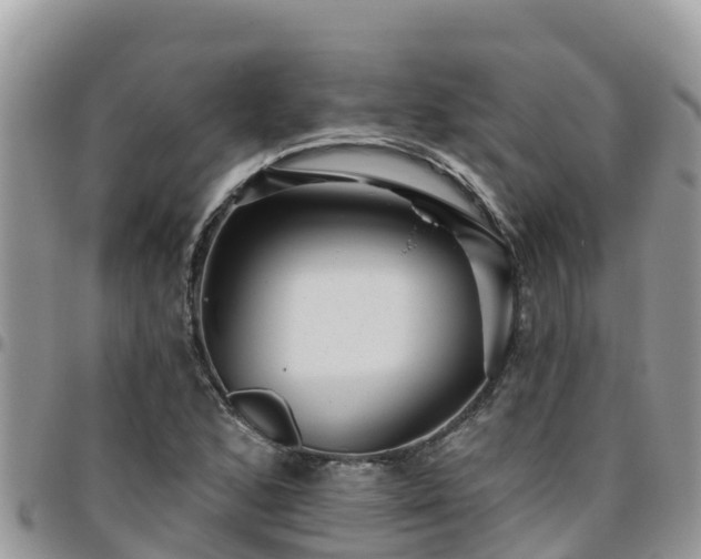 X0000095921168200801181411