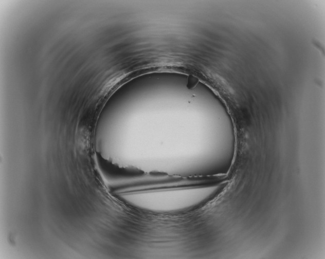 X0000095921169200801181411