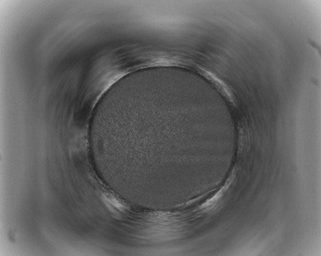 X0000095921170200801181411