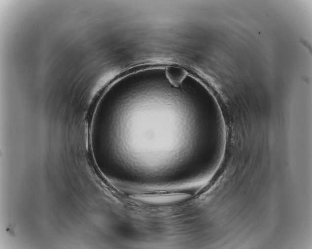 X0000095921171200801181411