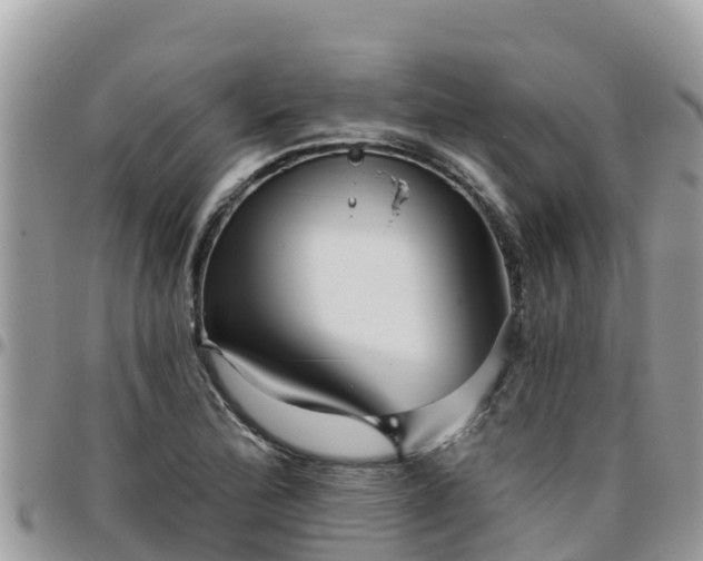 X0000095921172200801181411