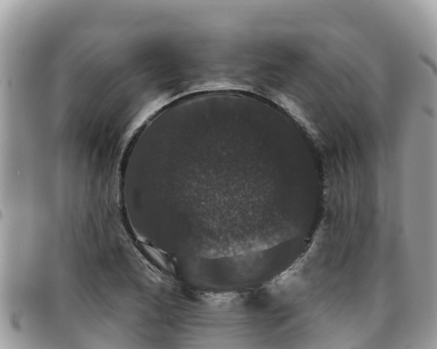 X0000095921173200801181411