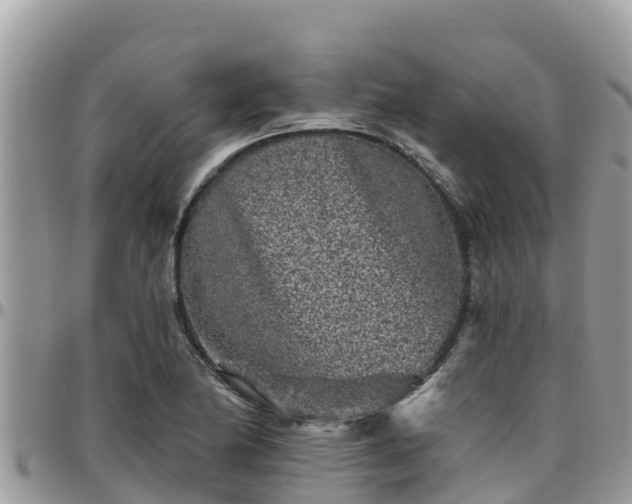 X0000095921174200801181411