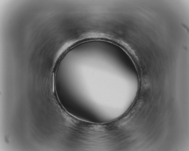 X0000095921175200801181411