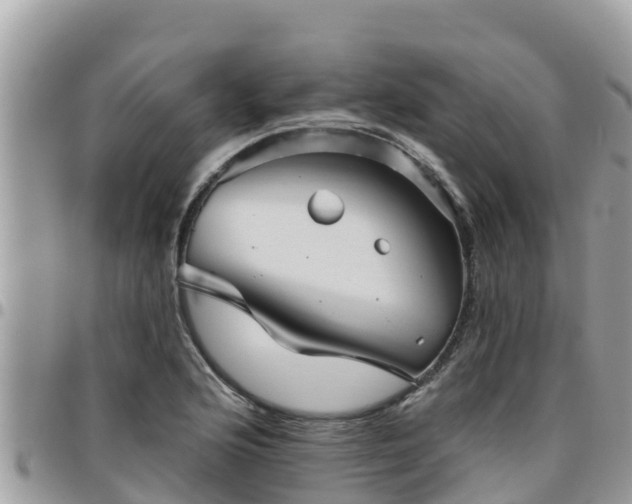 X0000095921176200801181411