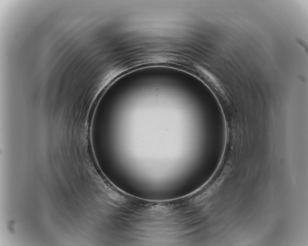 X0000095921178200801181411