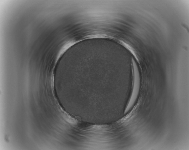 X0000095921179200801181411