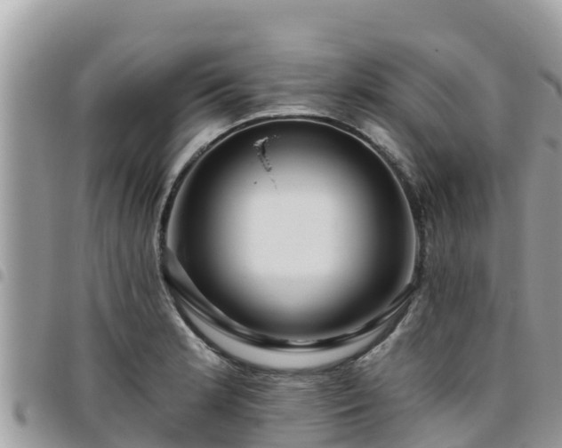 X0000095921181200801181411