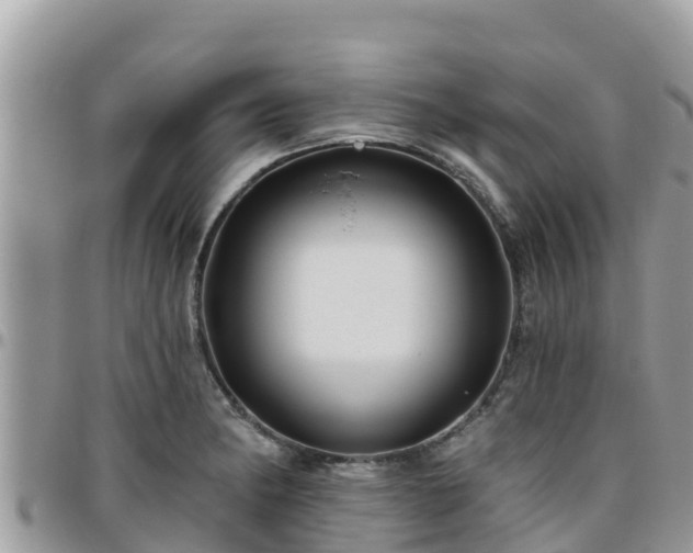 X0000095921182200801181411