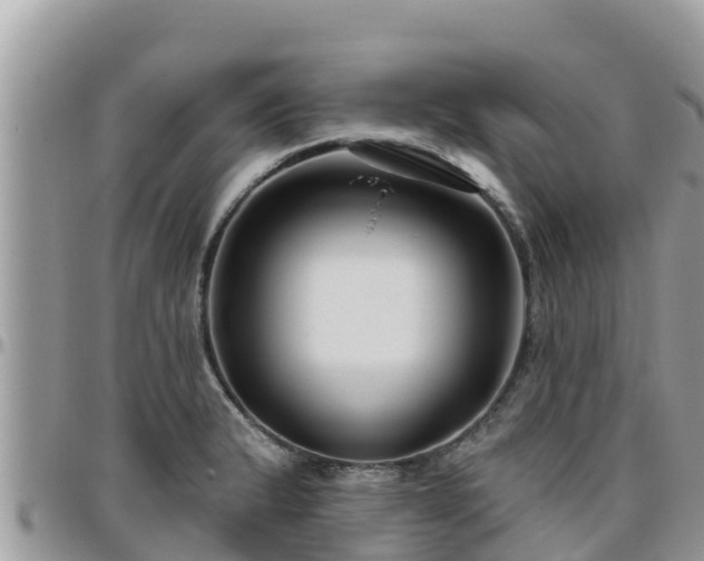 X0000095921183200801181411