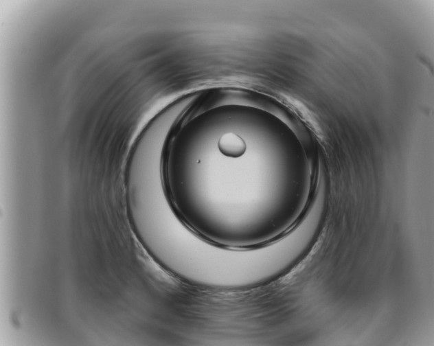 X0000095921184200801181411