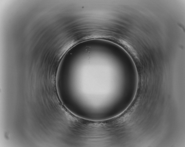 X0000095921185200801181411