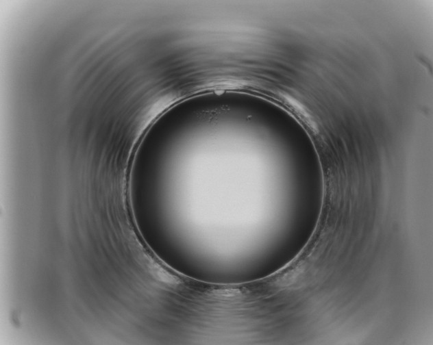 X0000095921186200801181411