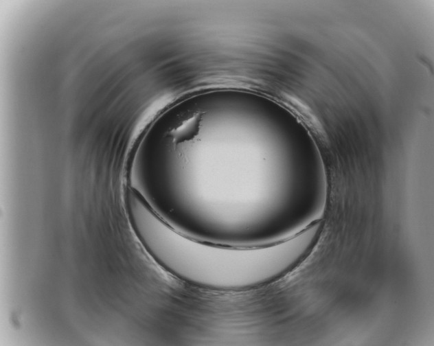 X0000095921188200801181411