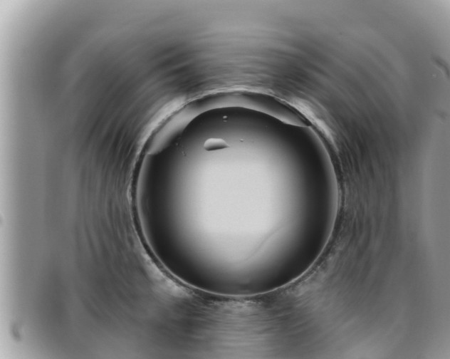 X0000095921189200801181411