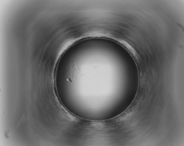 X0000095921191200801181411