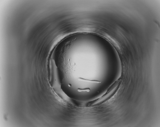 X0000095921192200801181411