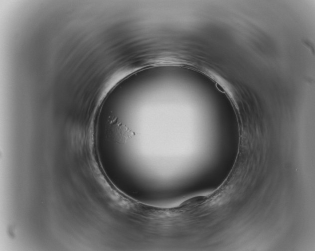 X0000095921195200801181411