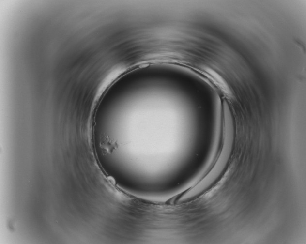 X0000095921196200801181411