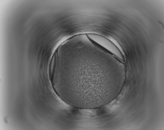 X0000095921197200801181411