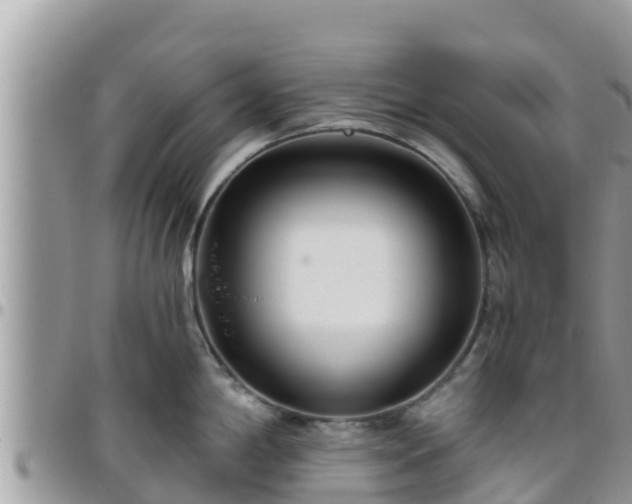 X0000095921198200801181411