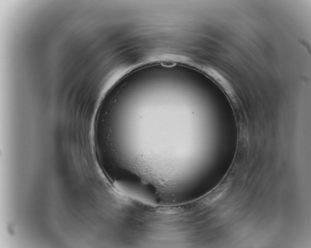 X0000095921199200801181411