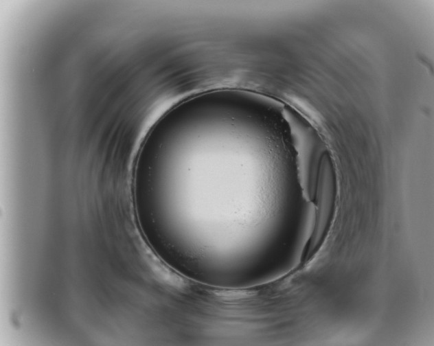 X0000095921200200801181411