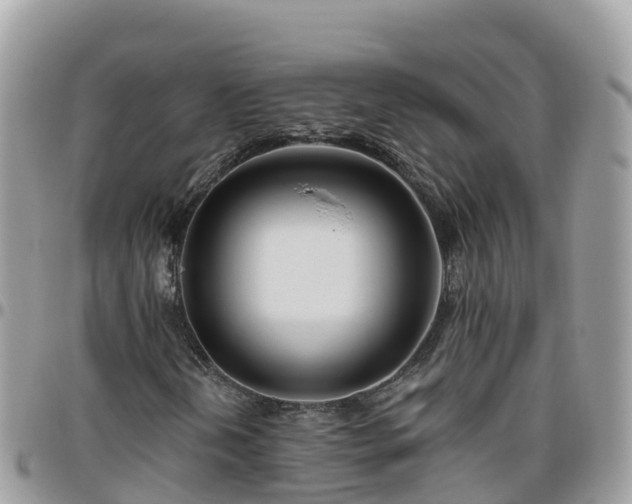 X0000095921202200801181410