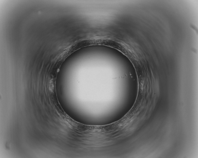 X0000095921204200801181410