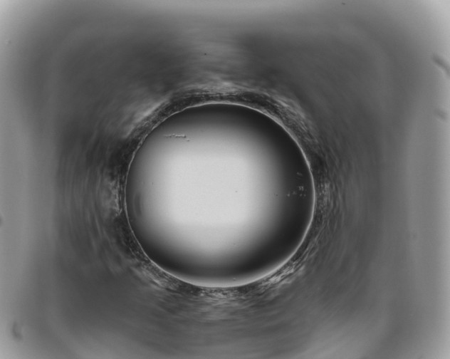 X0000095921205200801181410