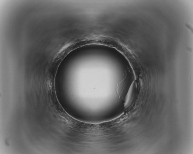 X0000095921206200801181410