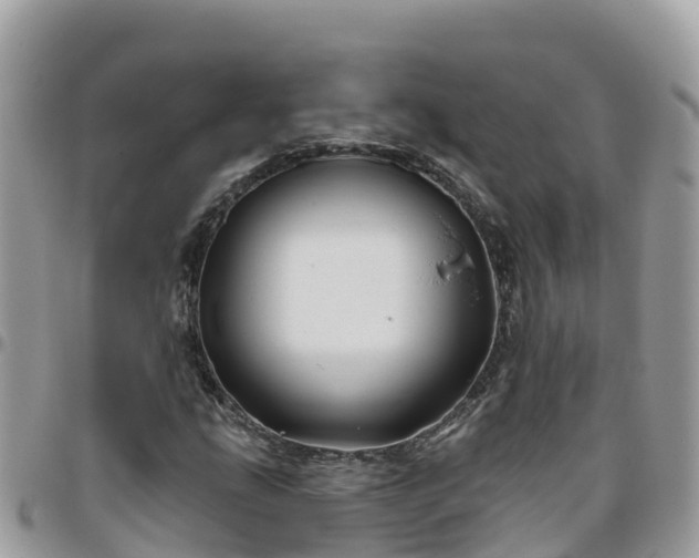 X0000095921207200801181410