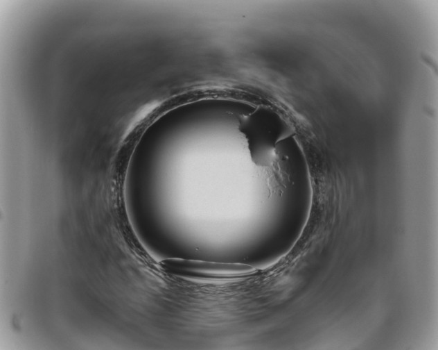 X0000095921208200801181410