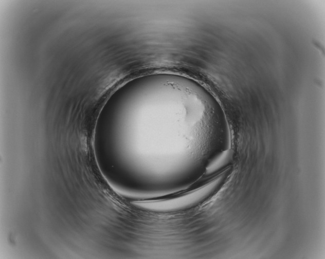 X0000095921209200801181410