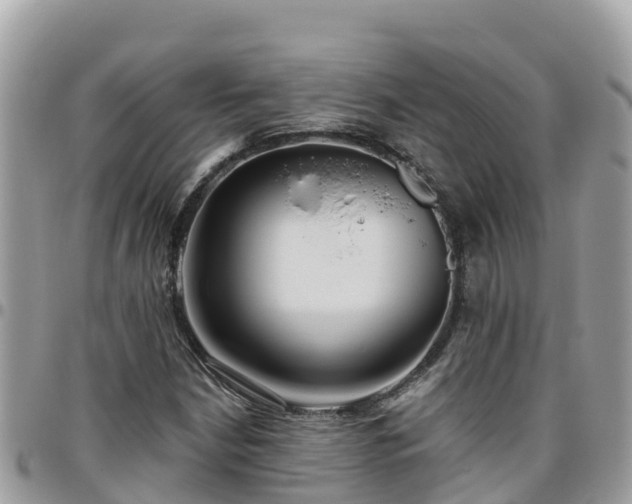 X0000095921210200801181410