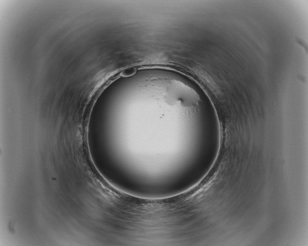 X0000095921212200801181410