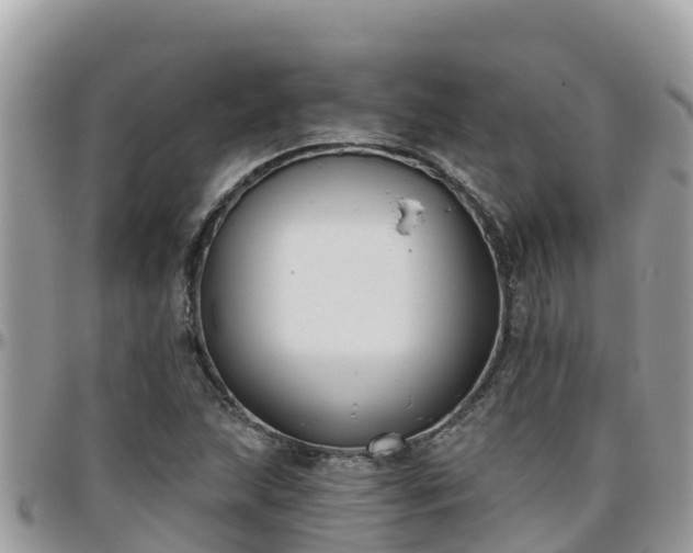 X0000095921215200801181410