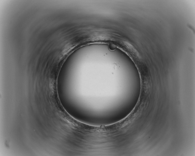 X0000095921217200801181410