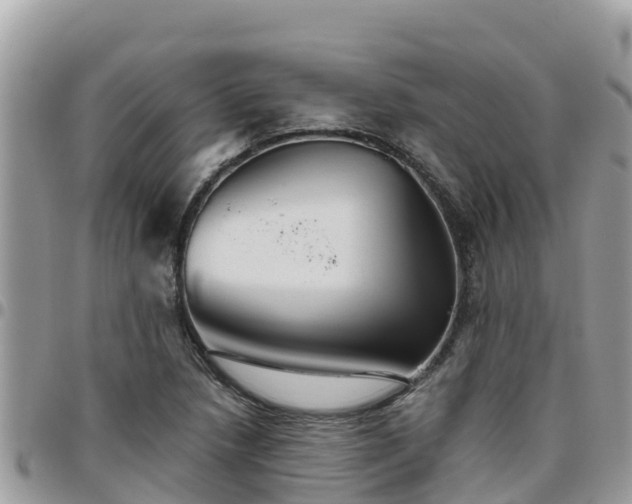 X0000095921218200801181410