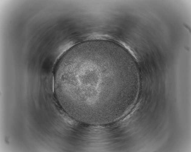 X0000095921219200801181410